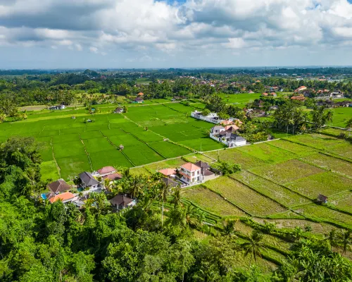 Tembaga Serenity Villa – Paradise with Pool and Garden Xung quanh Photos