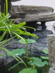 Qiushe (Wenchang Xingyou Former Residence) Hotels in Wenchang