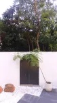 Guangzhou Conghua Yuejie Hot Spring Homestay - con terme