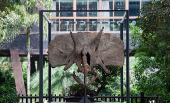 Tianci Huatang Forest Hot Spring Resort Hotel (Chongqing Lushan Branch)