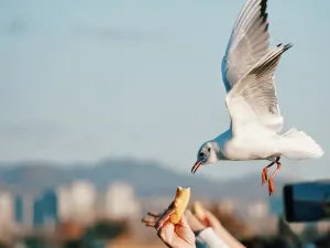 昆明華邑酒店（滇池）