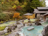 Manza Kogen Hotel - Varme kilder