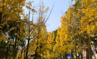 "Ya'an Jinyue · Manman Yucheng Private Enjoy Hotel (Ya'an Railway Station People's Hospital Branch