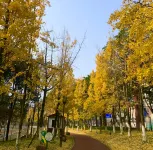 "Ya'an Jinyue · Manman Yucheng Private Enjoy Hotel (Ya'an Railway Station People's Hospital Branch Hôtels à : Ya'an