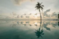 Bintan Pearl Beach Resort - Bãi biển