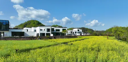QiYunShan Tianjuli Art Resort Villa Hotel Отели рядом с достопримечательностью «Huangshan Panda Ecological Paradise»