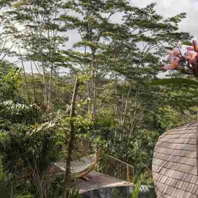 Belalu Bali Boutique & SPA experience Hotel Exterior