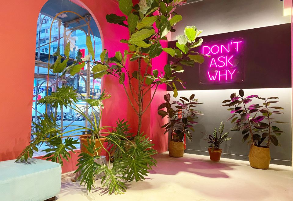 펑지아 진루이 호텔 객실 사진