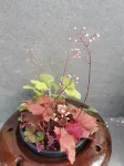 韶山芙蓉國裡飯店（故居景區銅像廣場店） - 廚房
