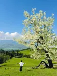 Jiangye Xinghe Stellar Panorama 180° Mountain-viewing Themed Guesthouse