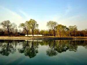JIAO ZUO STATE GUESTHOUSE