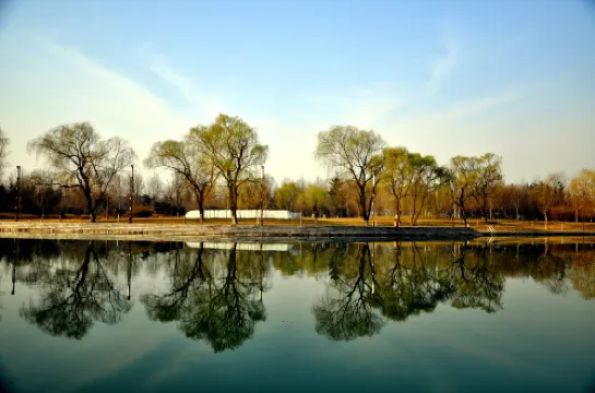 JIAO ZUO STATE GUESTHOUSE