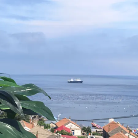 Haishang Bieyuan · Slowly · Zhenshan Guanhai Holiday Retreat (Zhangzi Island Branch)