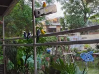 Qiaoyuan Business Hotel Hotel a 