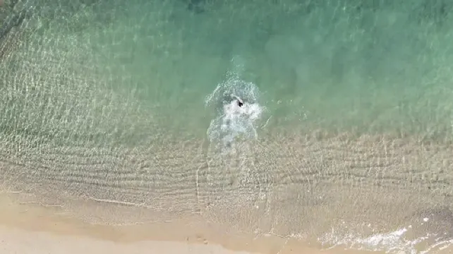 Z-Villas Beach Hotel