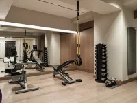 Electra Palace Athens - Gym