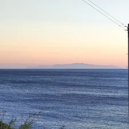 Kino-saji