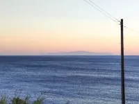 Kino-saji