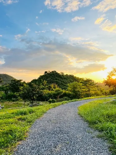 รูปภาพของภูม่านหมอก เขาใหญ่