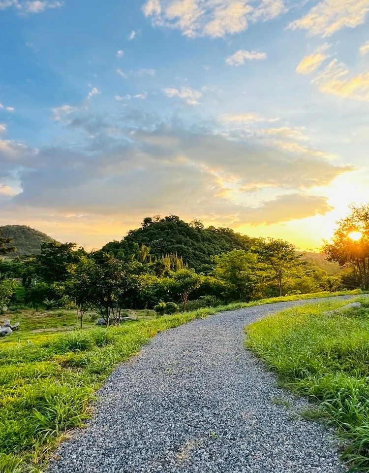 รูปภาพของภูม่านหมอก เขาใหญ่