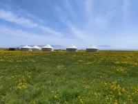 Sayram Lake Nomadic Homestay - 공항 셔틀버스