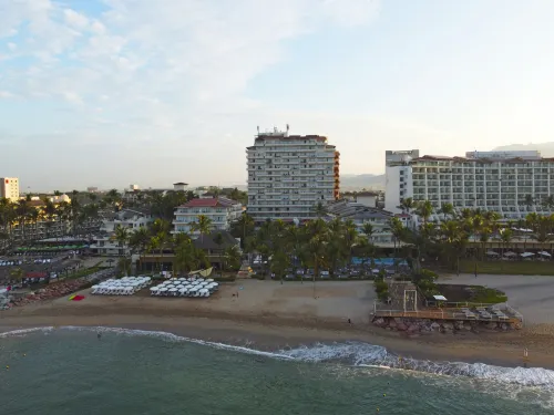 Friendly Fun Vallarta Different Experiences - Ramah Hewan Peliharaan