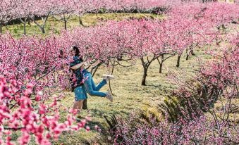 LUX* Tea Horse Road Peach Valley