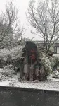 縉雲馨怡民宿