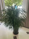 City 118 Hotel Chain - Wifi