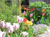 Huangshan Jingyu Shuhuajian Homestay