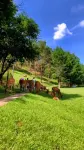Yichun Sunflower Hotel - Mountain view