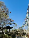 Jishou Aizhai Canyon Starry Sky Camping Base - ห้องครัว
