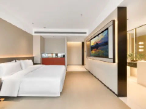 Songyang Tianyuan International Hotel Hotels in Songyang