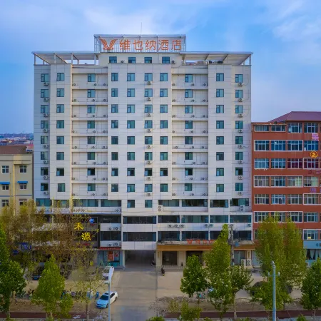 Vienna Hotel (Weishi County Government)