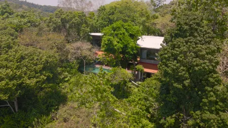 Ambong Rainforest Retreat