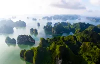 The Au Co Cruise - Managed by Bhaya Cruises