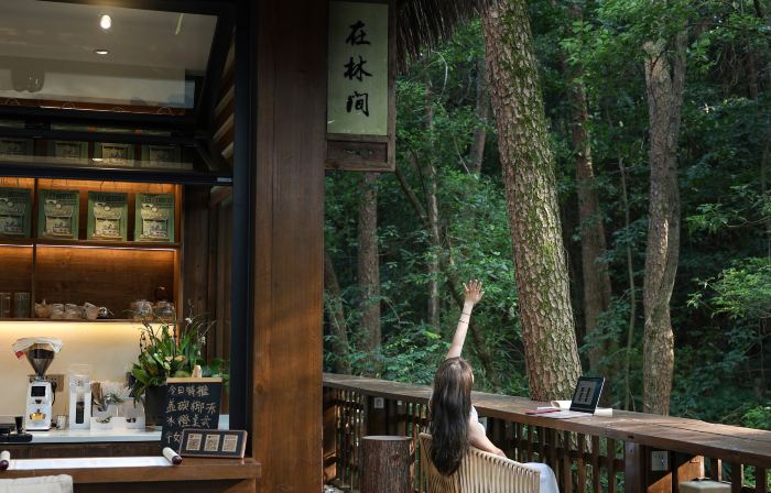 Mount Huangshan Creek Water Cloud Stream Forest Resort Hotel (Tunxi Old Street Store)