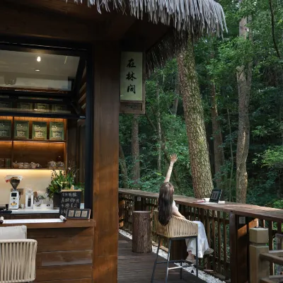 Mount Huangshan Creek Water Cloud Stream Forest Resort Hotel (Tunxi Old Street Store) Hotels near Tunxi Old Street