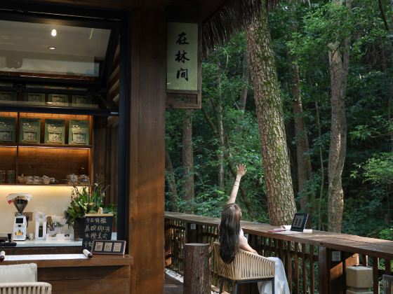 Mount Huangshan Creek Water Cloud Stream Forest Resort Hotel (Tunxi Old Street Store)