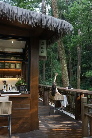 Mount Huangshan Creek Water Cloud Stream Forest Resort Hotel (Tunxi Old Street Store) Отели рядом с достопримечательностью «Cheng's Miyake»