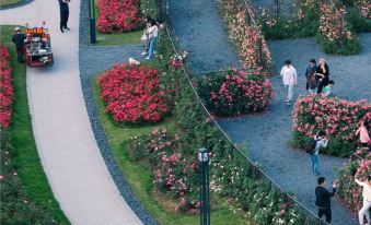 Lily Smart Hotel (Swan Lake Wanda Branch)