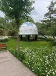Dayu Zhang Forest Park Starry Sky Homestay