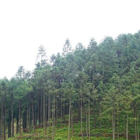 The Heart of Jiuling Mountain Resort Hotel