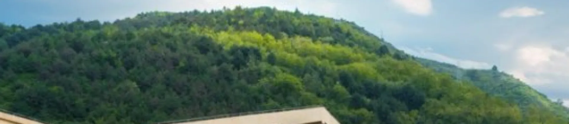 Hot Spring Hotels