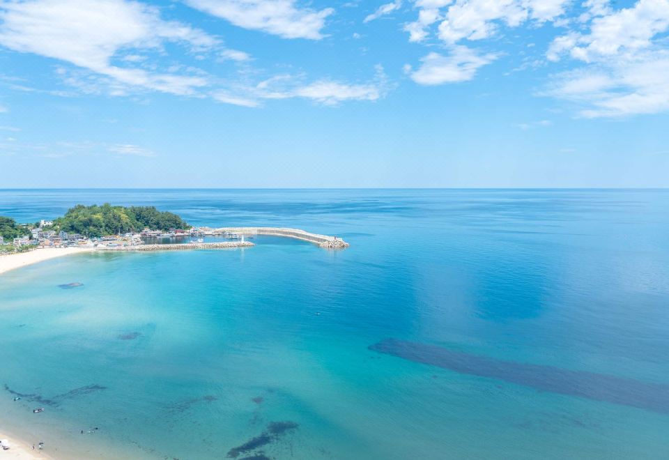 양양 더오션 바이오너스 호텔