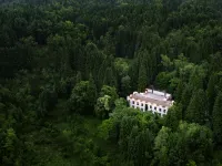 Yusen Forest Homestay - Romantic