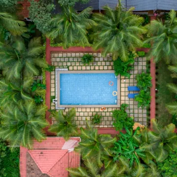 White Truffle Resort, Arambol