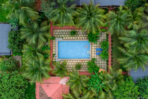 White Truffle Resort, Arambol فنادق في أرامبول