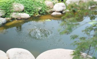 Hefei Tuju Baogongyuan Camping Site