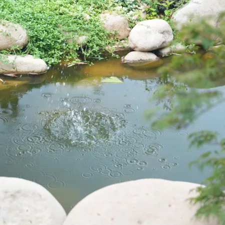 Hefei Tuju Baogongyuan Camping Site